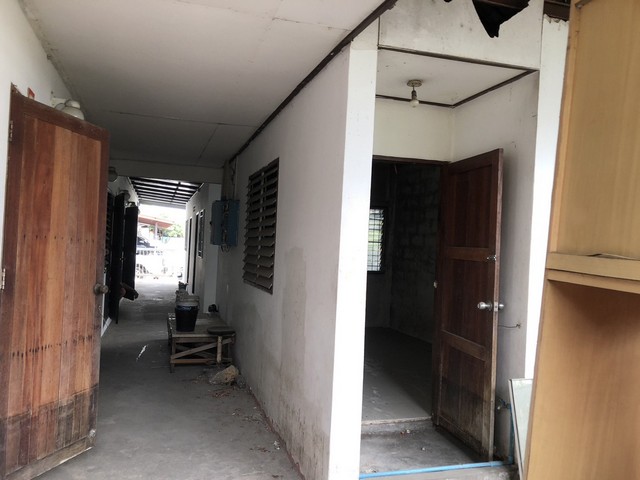 หาซื้อทรัพย์คุ้มใช้ประโยชน์ ขายหอพัก 60วา แถว ม.รังสิต พร้อมโอน หาซื้อทรัพย์คุ้มใช้ประโยชน์ ขายหอพัก 60วา แถว ม.รังสิต พร้อมโอน