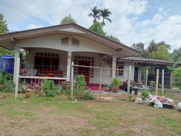 ขายบ้านพร้อมสวนผลไม้ 178 ตรว. จ.ชุมพร พร้อมอยู่ ราคาเพียง 1.6 ล ขายบ้านพร้อมสวนผลไม้ 178 ตรว. จ.ชุมพร พร้อมอยู่ ราคาเพียง 1.6 ล