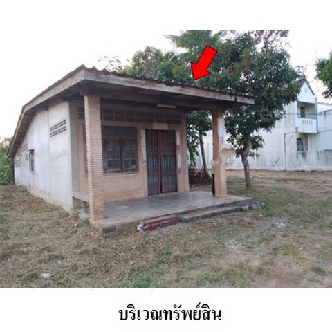 ขายบ้านเดี่ยว ถนน เพชรเกษม ต.นาท่ามเหนือ อ.เมืองตรัง จ.ตรัง ขายบ้านเดี่ยว ถนน เพชรเกษม ต.นาท่ามเหนือ อ.เมืองตรัง จ.ตรัง