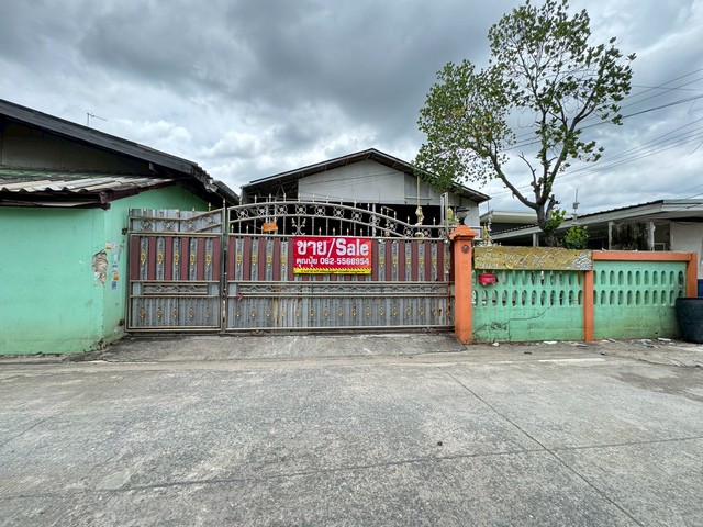 ·Թ觻١ҧ ǹǧзẹѧǧ