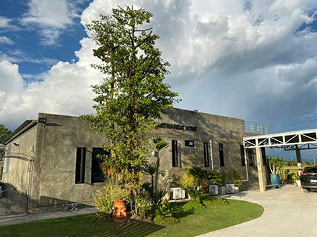 ������ ��ҹ���������   �ѹ�������