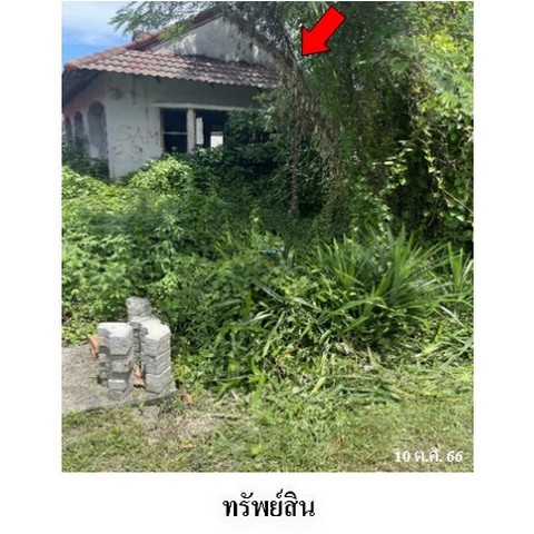 ��º�ҹ������ç��� ��蹡�� �Ť ���� �.����ǧ�ͧ�� �.�����ո��