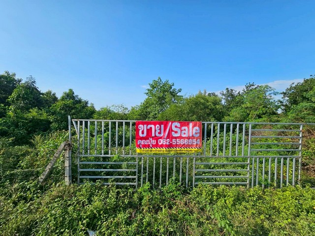 ขายที่เปล่าราชบุรีติดถนนทางหลวงใกล้ศูนย์การเรียนรู้เศรษฐกิจพอเพีย ขายที่เปล่าราชบุรีติดถนนทางหลวงใกล้ศูนย์การเรียนรู้เศรษฐกิจพอเพีย