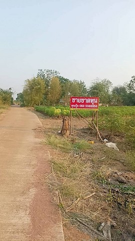 ขายที่ดินกาญจนบุรีด่านมะขามเตี้ย ทำเลดีมากติดทางสาธารณะ 2 ด้าน ขายที่ดินกาญจนบุรีด่านมะขามเตี้ย ทำเลดีมากติดทางสาธารณะ 2 ด้าน