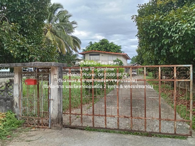 //�١�ش//��º�ҹ�ٹ������ 2 ��� 5 � 3 ��� 351 ��.�. @��Ҵ�����