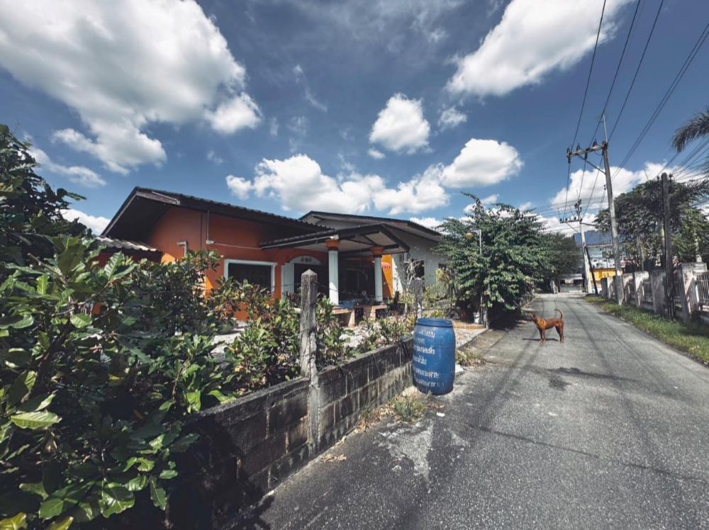 ��º�ҹ��������Թ ��������ͧ ���ͧ ���ŷͧ���������ѹ��