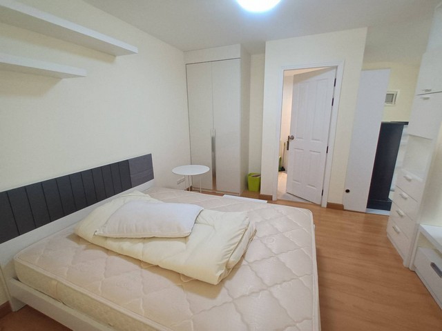 ��¤͹�The Link 2 �آ���Է 50   ��� 4 ��ͧ��Ҵ  31 ���ҧ����