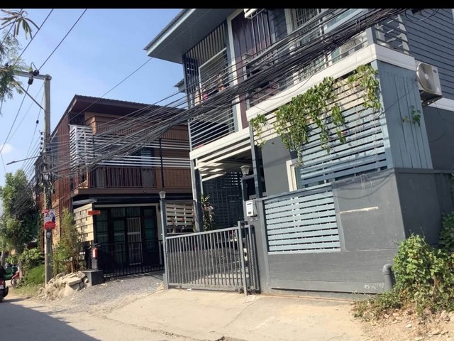 �����Һ�ҹ�����  ��ҹ�����ҡ �ҧ�л�  ������˧ ��� ���������