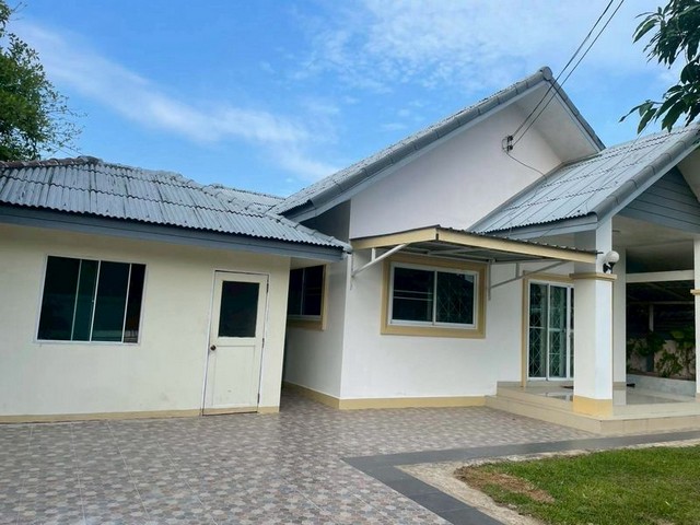 ��ҹ����Ǫ������ ���ҧ��ҧ ������ �ѹ�ѡ��ҹ �ҧ��