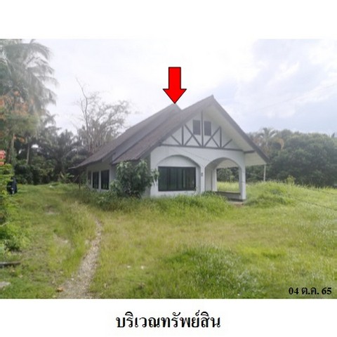 ขายบ้านเดี่ยว ต.ม่วงกลวง อำเภอ กะเปอร์ จังหวัด ระนอง ขายบ้านเดี่ยว ต.ม่วงกลวง อำเภอ กะเปอร์ จังหวัด ระนอง