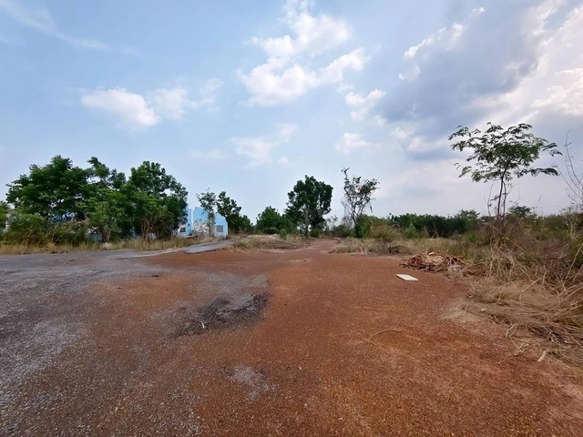 ��·��Թ��»�Ҩչ���� ���Թ   39-2-35  ���