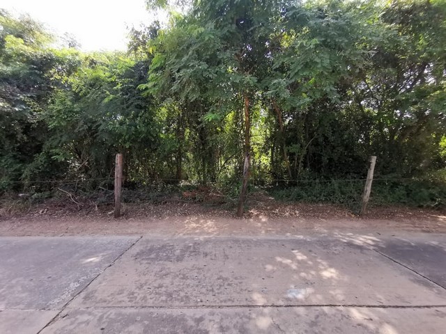 ��·��Թ��ҧ����   ����Ⱥ�� ��� 8/5 ��� 8/7  �ԨԵ�