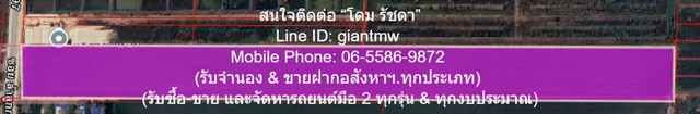 ��·��Թ�����繷�觹� �.���١�� 97 (�.���º��ǹ�.) 48-0-57.3 �