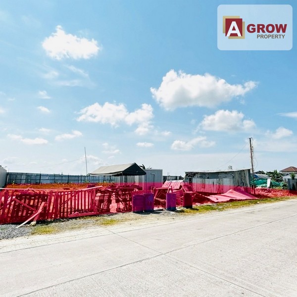 ��·��Թ���Ҷ����� ��Ҵ 325 ��.�� �ҧ��� ����л�١���ҧ��������