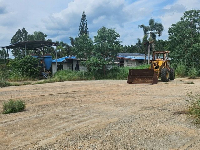 ขายที่ดินลานมันหนองเหียงพนัสนิคม 31 ไร่ ขายที่ดินลานมันหนองเหียงพนัสนิคม 31 ไร่
