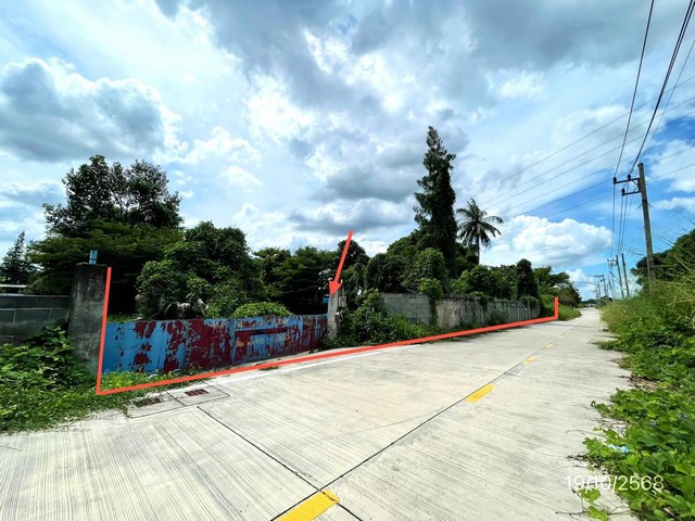  ����ç�ҹ 5 ��� �ź���  ����Ҫ� �ѧ��Ѵ�ź��� ��� ���������ѧ-��