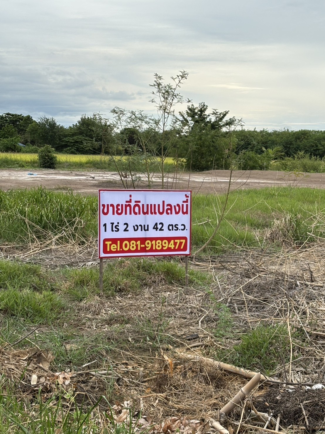 ขายที่ดินถมแล้ว เจ้าของขายเอง ทำเลดีติดถนนซอย 2 ฝั่ง พระนครศรีอย ขายที่ดินถมแล้ว เจ้าของขายเอง ทำเลดีติดถนนซอย 2 ฝั่ง พระนครศรีอย