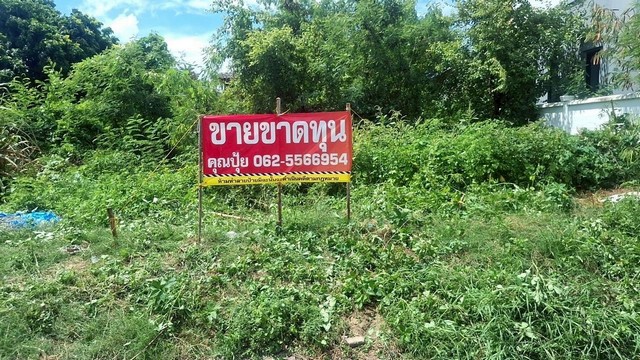 ที่ดินเปล่าจตุรโชคชัย3/6 ที่เปล่าถมแล้ว ที่ดินเปล่าจตุรโชคชัย3/6 ที่เปล่าถมแล้ว