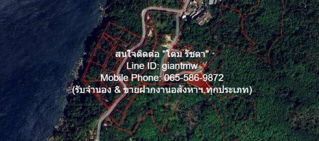 ขายที่ดินเปล่าบนภูเขา และวิวทะเล ต.กมลา อ.กะทู้ จ.ภูเก็ต 2 ไร่ ขายที่ดินเปล่าบนภูเขา และวิวทะเล ต.กมลา อ.กะทู้ จ.ภูเก็ต 2 ไร่