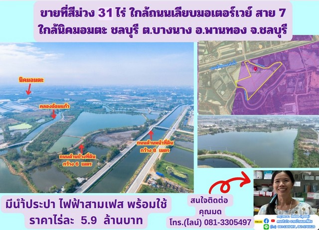 ��·������ǧ  31  ���  �.�ҧ�ҧ �.�ҹ�ͧ �.�ź���