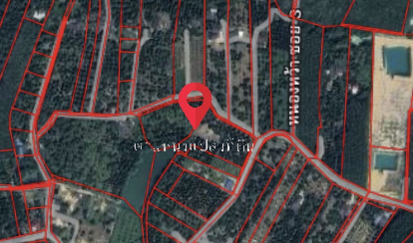ขายที่ดิน พร้อมสวนทุเรียน มังคุด เมืองระยอง ใกล้ทะเลเพียง 10 นาที ขายที่ดิน พร้อมสวนทุเรียน มังคุด เมืองระยอง ใกล้ทะเลเพียง 10 นาที