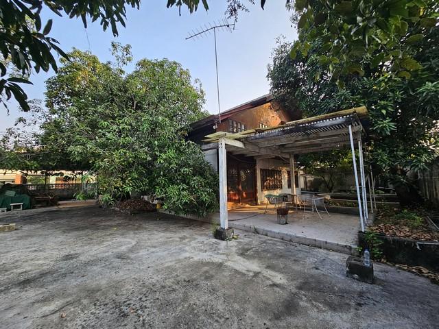 ให้เช่าที่ดิน202ตร.วแปลงมุมวชิรธรรมสาธิต23สุขุมวิท101-1 มีที่จอดร ให้เช่าที่ดิน202ตร.วแปลงมุมวชิรธรรมสาธิต23สุขุมวิท101-1 มีที่จอดร