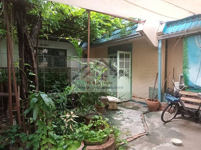 ��·��Թ �������觻�١���ҧ ��ҹ������ 81 ���Ὺ�������Ź��