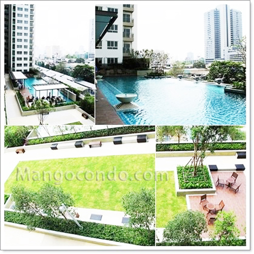  Թ    9 (LPN PLACE RAMA 9) ͹  33.5 . 1 ͧ͹  ֡ D 11  Ѻʺ 13500ҷ  MRT 繷  9  ͧ俿Ҥú