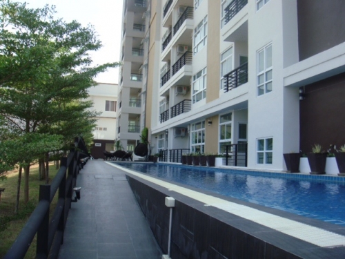 ¤͹ THE OCEAN PEARL Pattaya