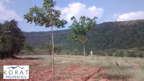 ��·��Թ / LAND FOR SALE