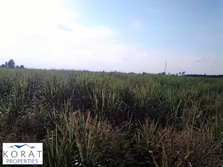 ��·��Թ��⩹� / LAND FOR SALE