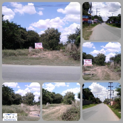 ¢Ò·Õè´Ô¹·ÓàÅÊÇÂ/LAND FOR SALE ¢Ò·Õè´Ô¹·ÓàÅÊÇÂ/LAND FOR SALE