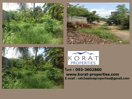 ¢Ò·Õè´Ô¹/LAND FOR SALE ¢Ò·Õè´Ô¹/LAND FOR SALE