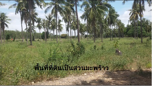 ��С�Ȣ�·��Թ 10 ��� 3 �ҹ 54 ���. ��§�ҡ���š ���觷�ͧ����Ƿ��Żҡ��ӻ�ҳ���� �ҤҶ١!! 