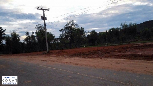 ¢Ò·Õè´Ô¹/LAND FOR SALE ¢Ò·Õè´Ô¹/LAND FOR SALE