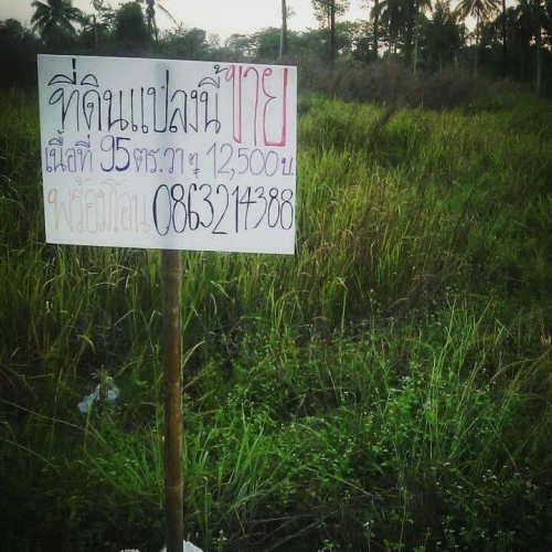ขาย!!! ที่ดินเปล่า เนื้อที่ 95 ตร.วา อ่างเก็บน้ำบางพระ อ.ศรีราชา จ.ชลบุรี ขาย!!! ที่ดินเปล่า เนื้อที่ 95 ตร.วา อ่างเก็บน้ำบางพระ อ.ศรีราชา จ.ชลบุรี