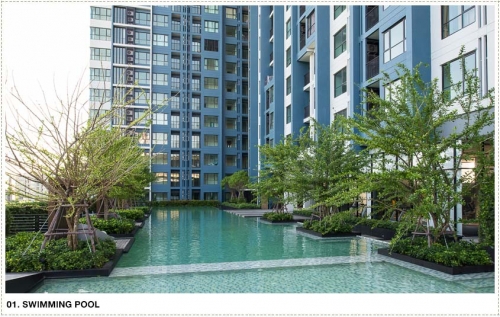 ¶١ CONDO THE BASE  9 - ˧  19, 26.15 . ¹ 2.59 ź.